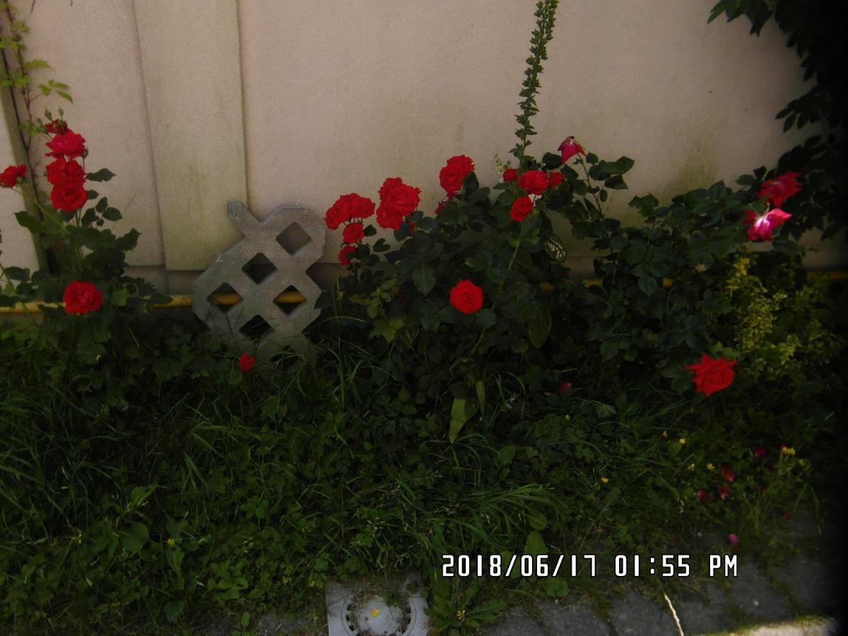 Iwona Hostel - Budget Rooms With Private Bathrooms Sopot Exterior photo
